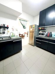 Blk 1B The Pinnacle@Duxton (Bukit Merah), HDB 4 Rooms #455836761